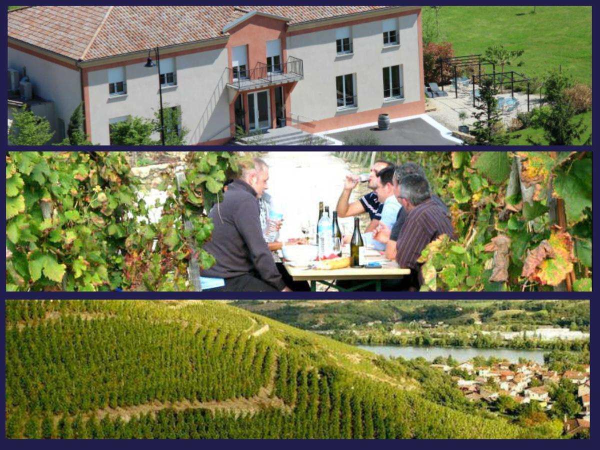 Le Domaine Des Vignes Lyon Sud Vienne Hotel 3*