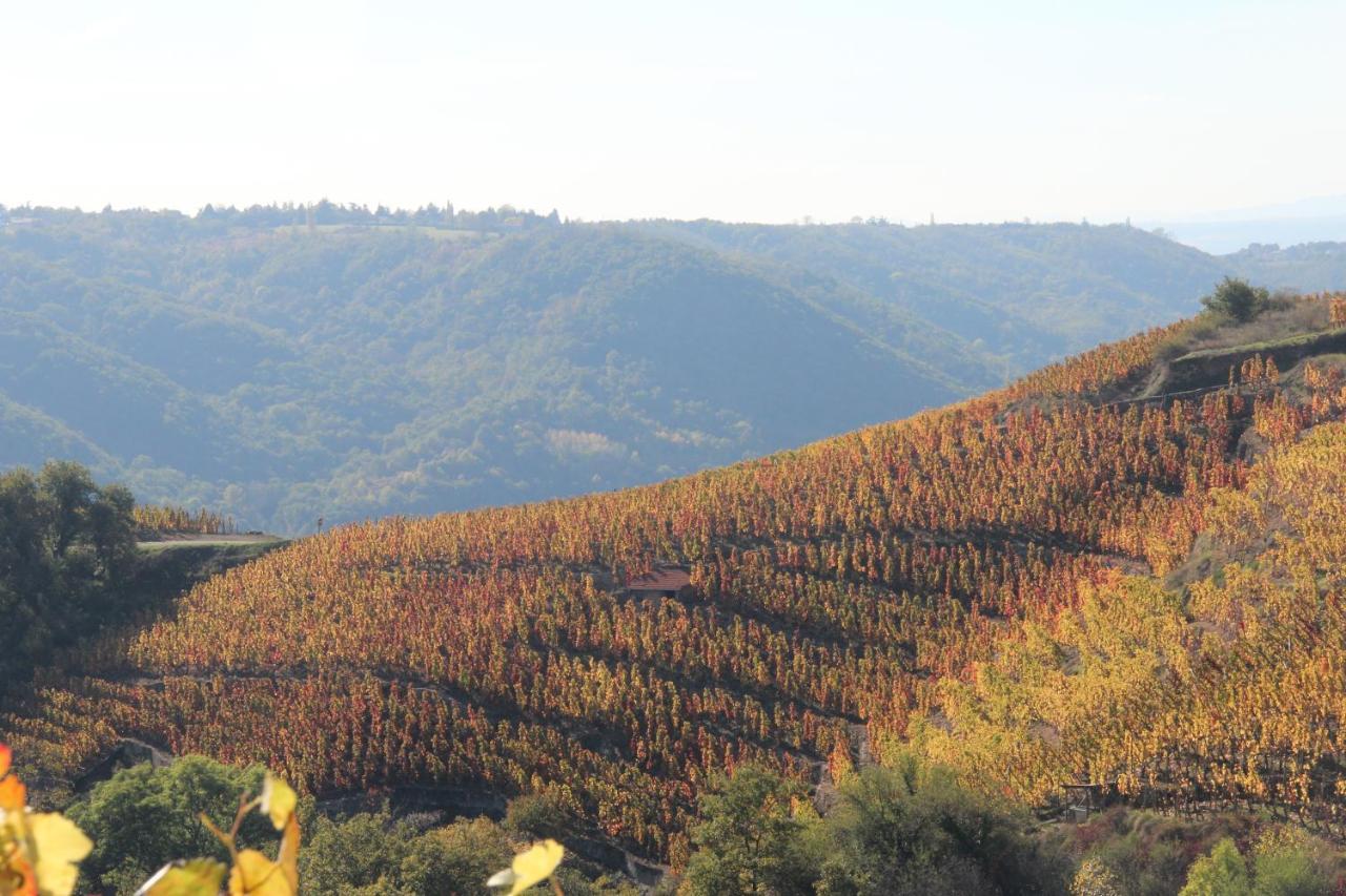 Le Domaine Des Vignes Lyon Sud Vienne Hotel Ampuis